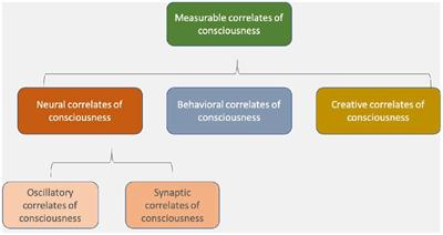 Fields or firings? Comparing the spike code and the electromagnetic field hypothesis